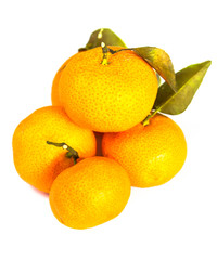 Oranges on White Background