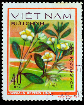 VIETNAM - CIRCA 1978: A stamp printed in VIETNAM, shows Jussiaea