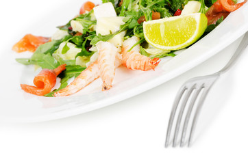 salad with seafood on white background