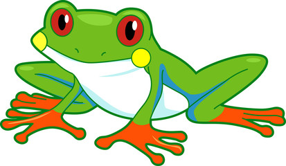 Obraz premium Rainforest Frog