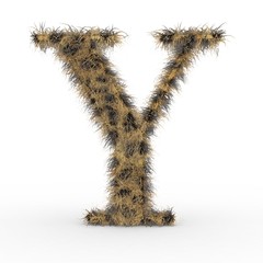 Texteffekt Haare Leopard Y