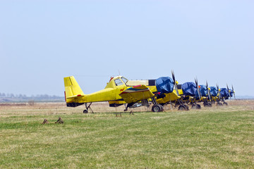 Fototapeta na wymiar Eskadra samolotów rolniczych i do gaszenia