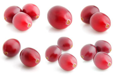 Collage from fresh cranberries