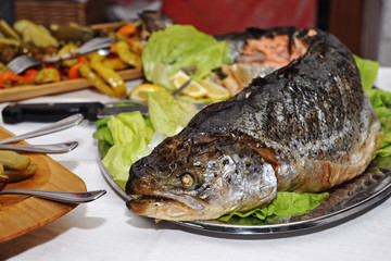 Baked trout with salad garnish