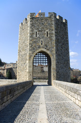 Fototapeta na wymiar Medieval tower of the village of Besalu.Girone.Spain