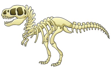 Tyrannosaurus skeleton image