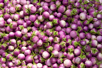 fresh eggplant