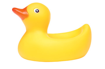 Rubber duck