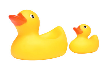 rubber ducklings