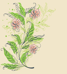 floral background