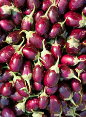 fresh eggplant