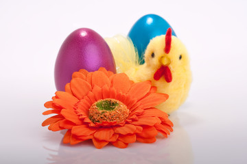 Küken mit bunten Ostereiern auf weissem Hintergrund