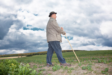 Farmer working in the fields