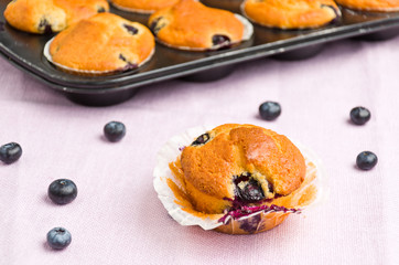tasty muffin
