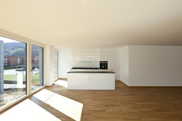 beautiful new apartment, interior, kitchen