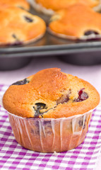 tasty muffin