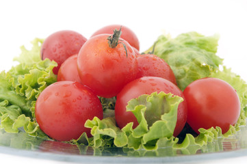 tomato and lettuce close up