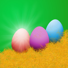 the color eggs on yellow grass with sun light