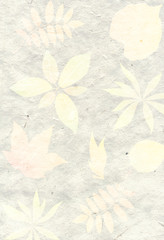 Abstract background with leaf