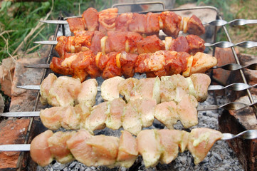 shish kebab on skewers and hot coals