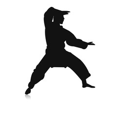 Karaté man en défense