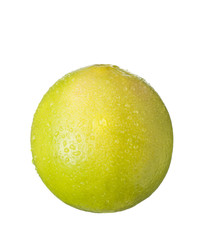isolated fruit on white,a pomegranate with drops