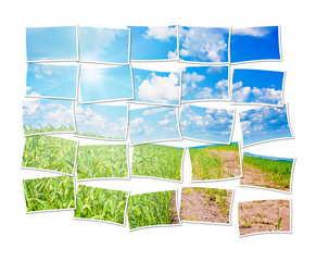 Collage of a twenty five frames with nature