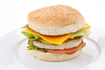 cheeseburger on the plate