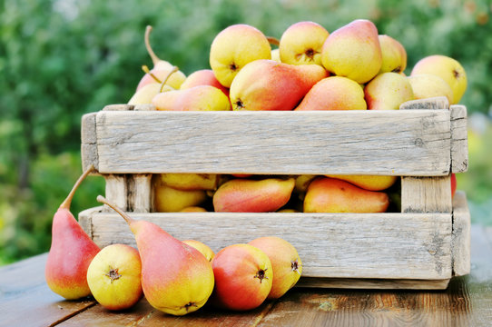 Pears In  Box