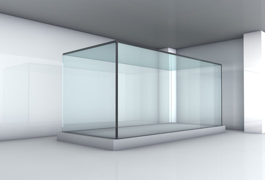 Empty Glass Showcase In The Gallery