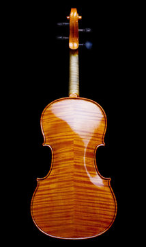 Violin brown back