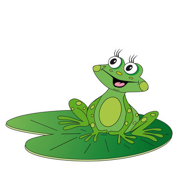 green frog sitting on green leaf