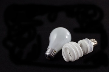 Old and New Light Bulb