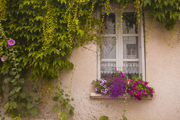 Fototapeta na wymiar Stare okna we Francji