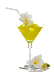 martini glass of cocktail with ice and flowers isolated on white