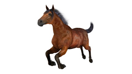 馬
