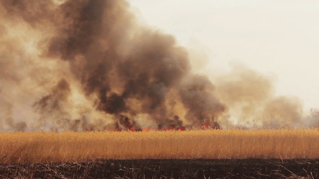 Wildfire in the fields timelapse