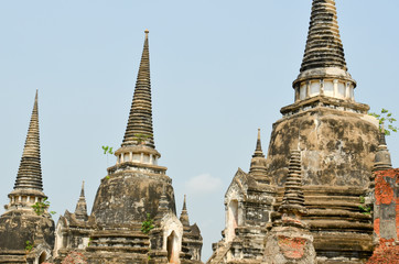 Fototapeta premium Les temples d'Ayutthaya