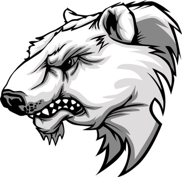 Polar Bear Mascot Head Vector Cartoon