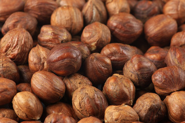 Hazelnuts close-up