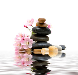 Obraz na płótnie Canvas Zen / spa stones with flowers