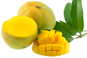 mangue