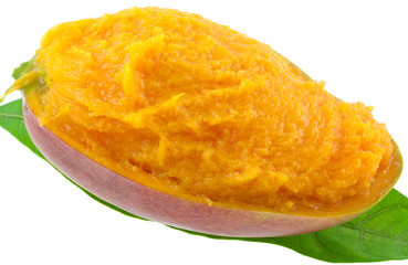 mangue