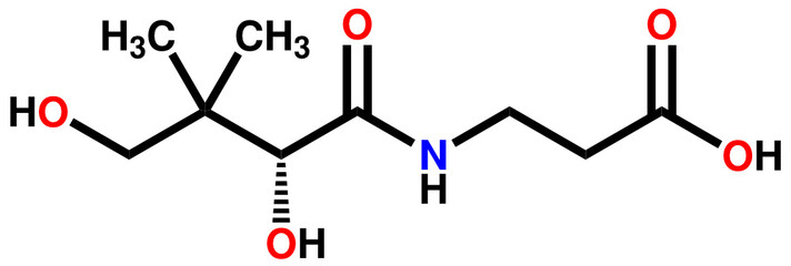 Pantothenic acid (vitamin B5) structural formula