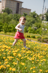 little girl runs on a meadow with dandelions