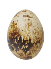 Single egg