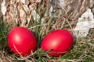 Easter red egg