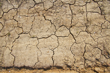 Dirt