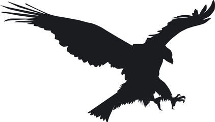 Adler im Anflug