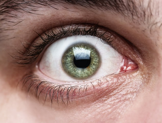 Close up of surprised or scared human eye